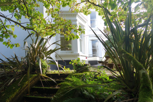 Trelowen from beneath the magnolia tree